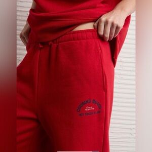 NWT- AE The Summer I Turned Pretty Lux Joggers ❤️❤️❤️